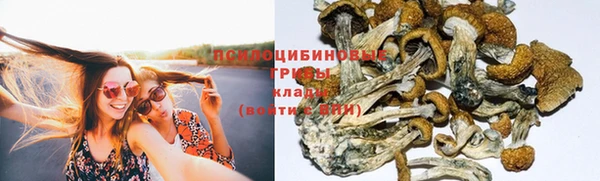 ешки Алзамай