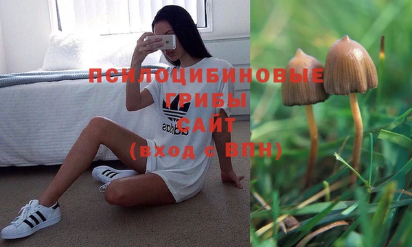 синтетический гашиш Алексеевка