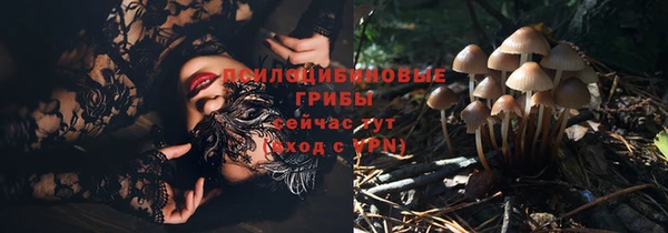 ешки Алзамай